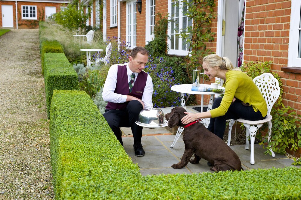 Pet-friendly, Tylney Hall