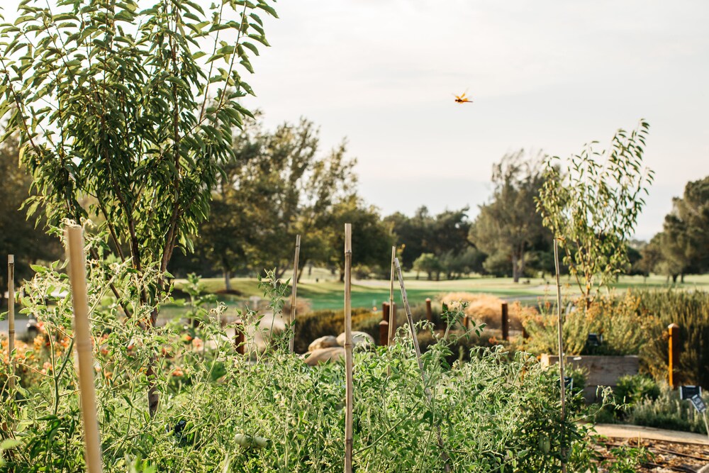 Temecula Creek Inn