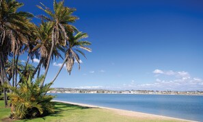 On the beach, white sand, windsurfing, beach volleyball
