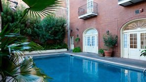 Outdoor pool, sun loungers