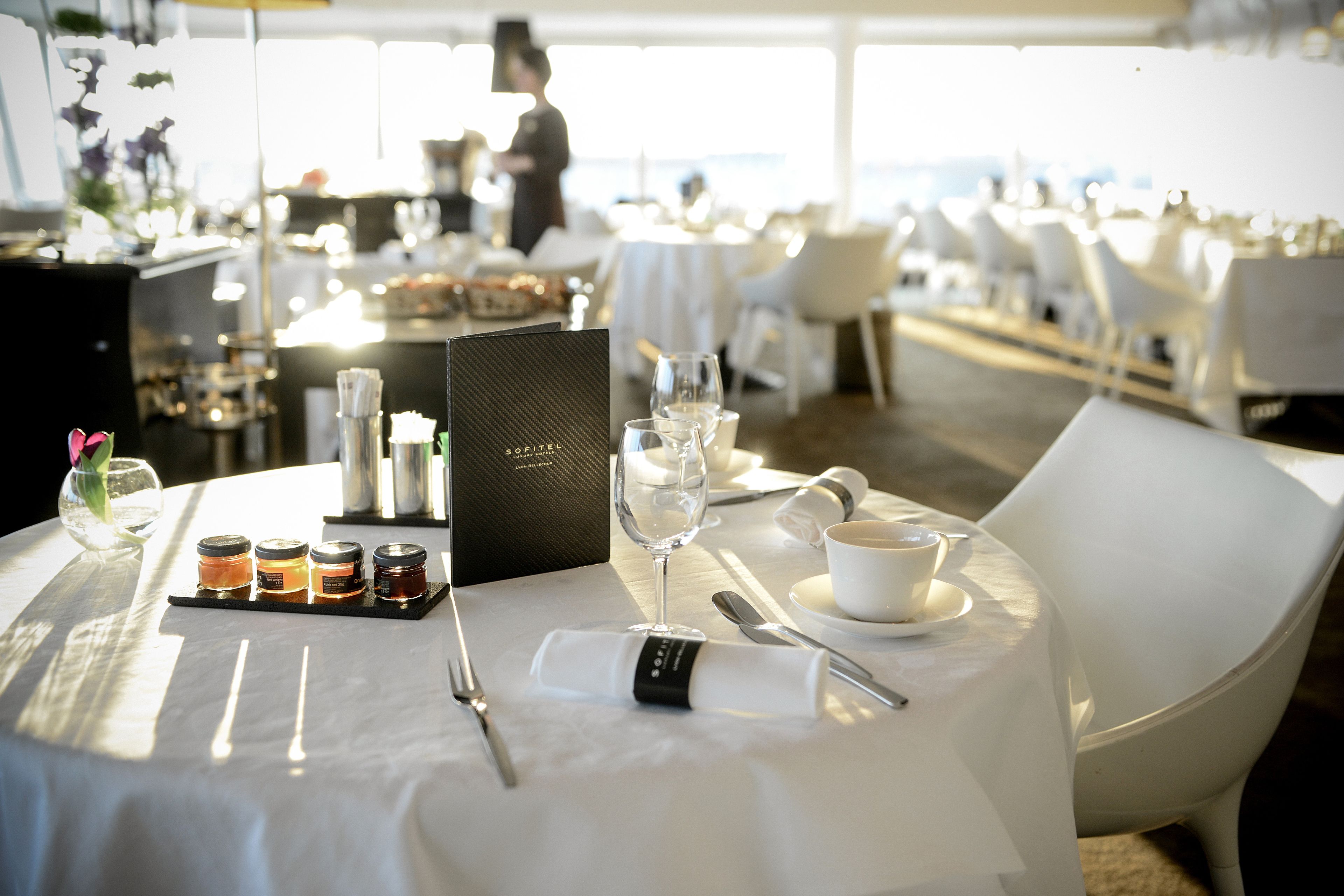 Sofitel Lyon Bellecour in Lyon, France