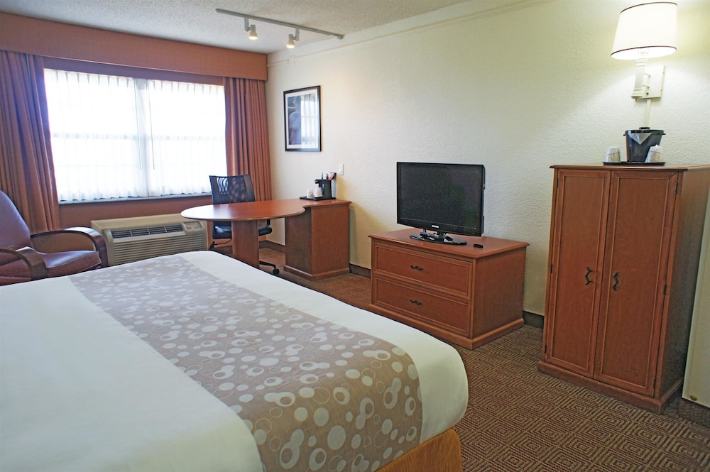 Hotel Rooms In Coral Springs Fl Hotel Rooms In Coral Springs Fl