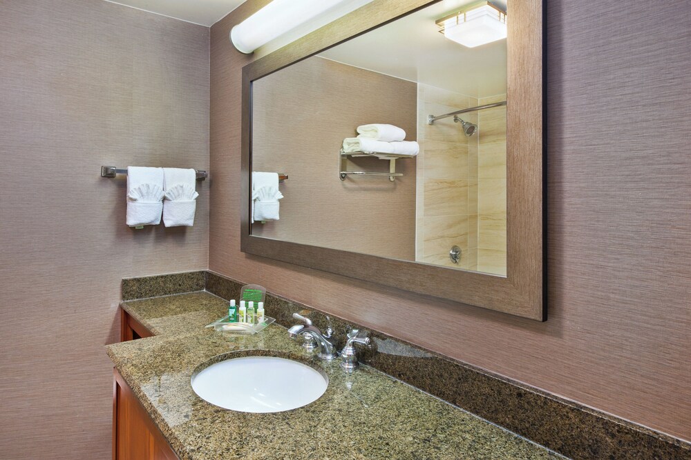 Holiday Inn Washington-Dulles International Airport, an IHG Hotel