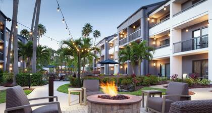 Courtyard St. Petersburg Clearwater