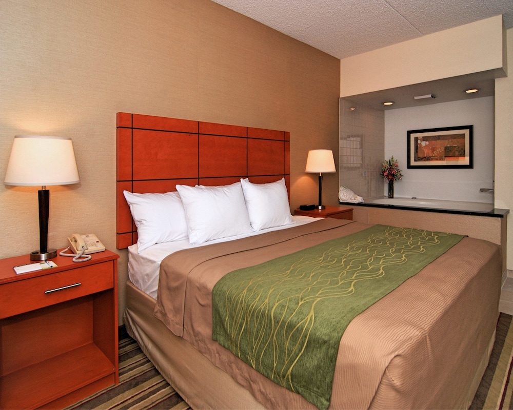 Comfort Inn Metro Airport