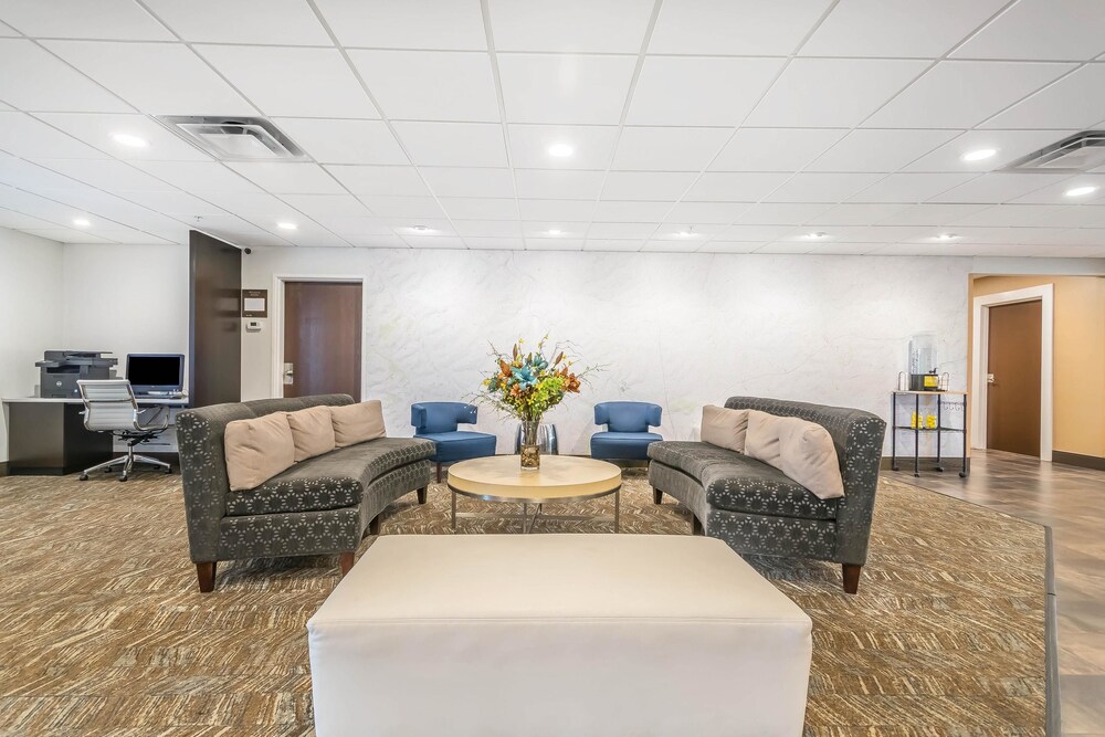 Comfort Inn Suites In Lexington Cheap Hotel Deals Rates