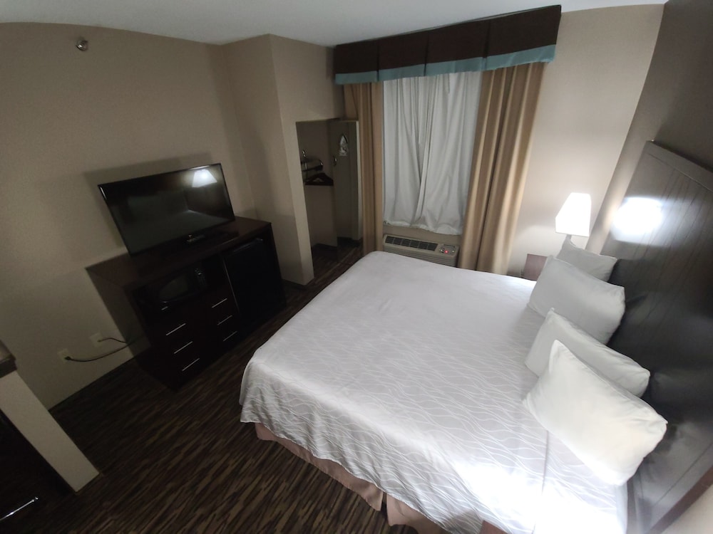 Room, SureStay Plus Hotel by Best Western Plano