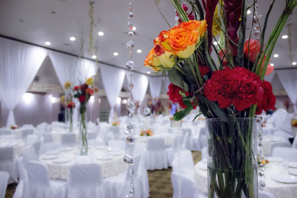 Banquet hall, HM Hotel Mirador