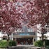 Maritim Hotel Magdeburg in Magdeburg, Germany