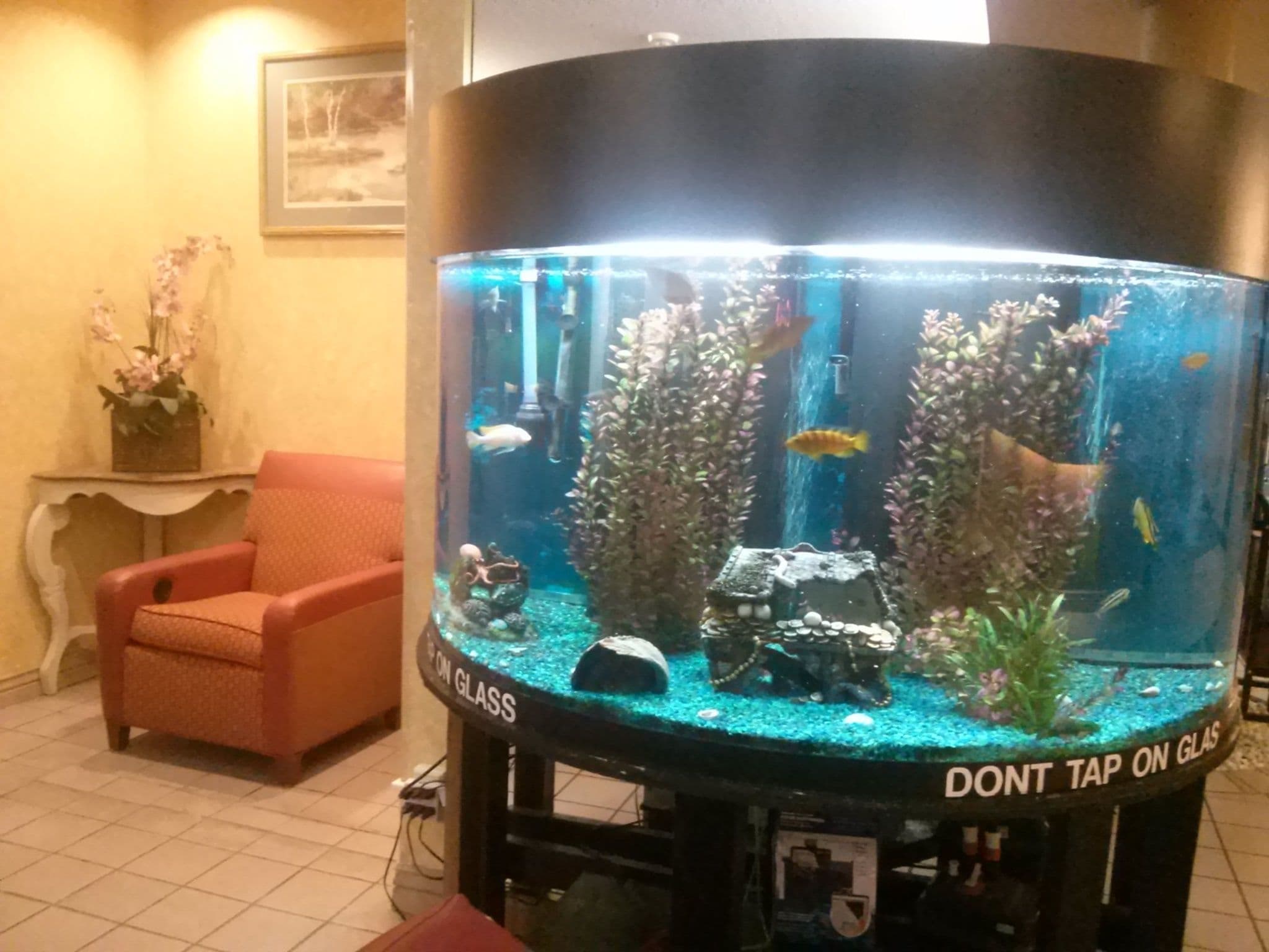 Val U Stay Inn and Suites in Pueblo, United States