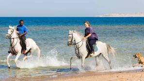 Privatstrand, Strandtücher, Massagen am Strand, Schnorcheln