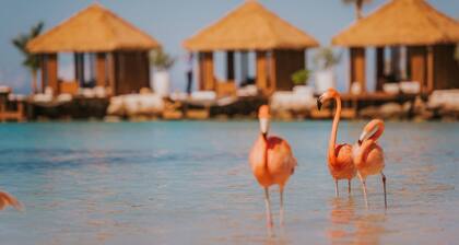 Renaissance Wind Creek Aruba Resort
