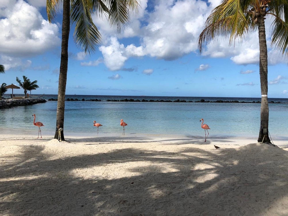 All inclusive resorts with casinos in aruba