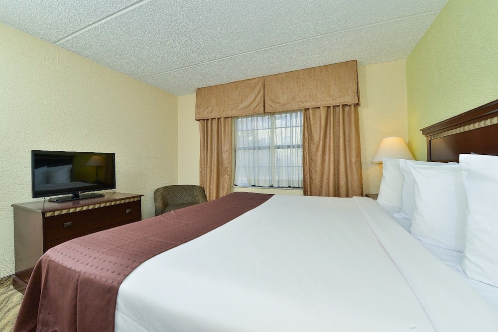 Quality Inn & Suites Tampa - Brandon near Casino