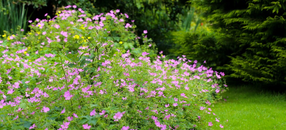 Garden, Stratton House Hotel & Spa