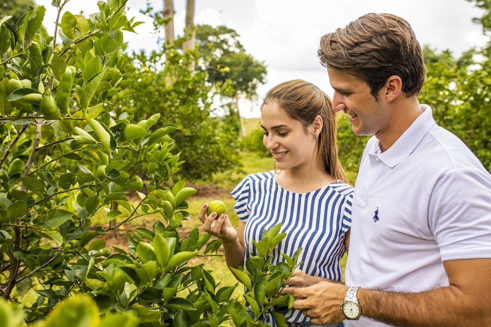 Hacienda Uxmal Plantation & Museum