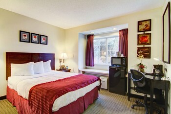 Jacksonville Plaza Hotel & Suites Airport