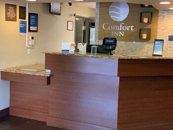 Comfort Inn Fort Myers Northeast Fort Myers 2020 Room Prices