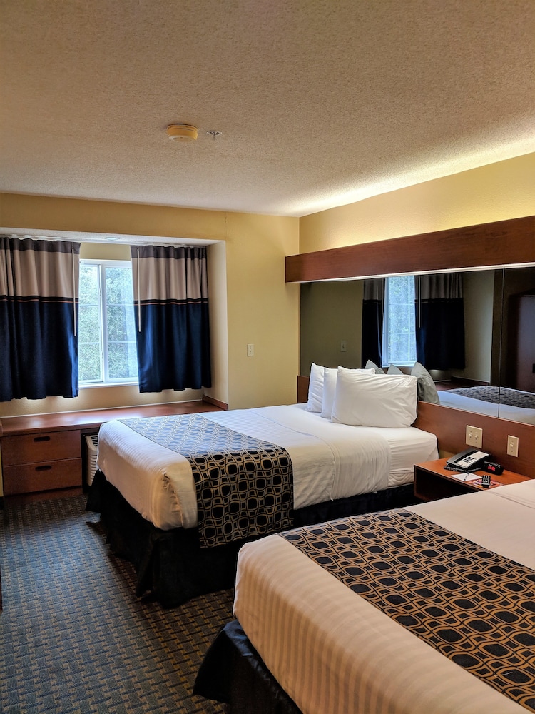 Room, Microtel Inn & Suites by Wyndham Leesburg/Mt Dora