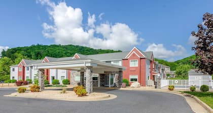 Quality Inn & Suites
