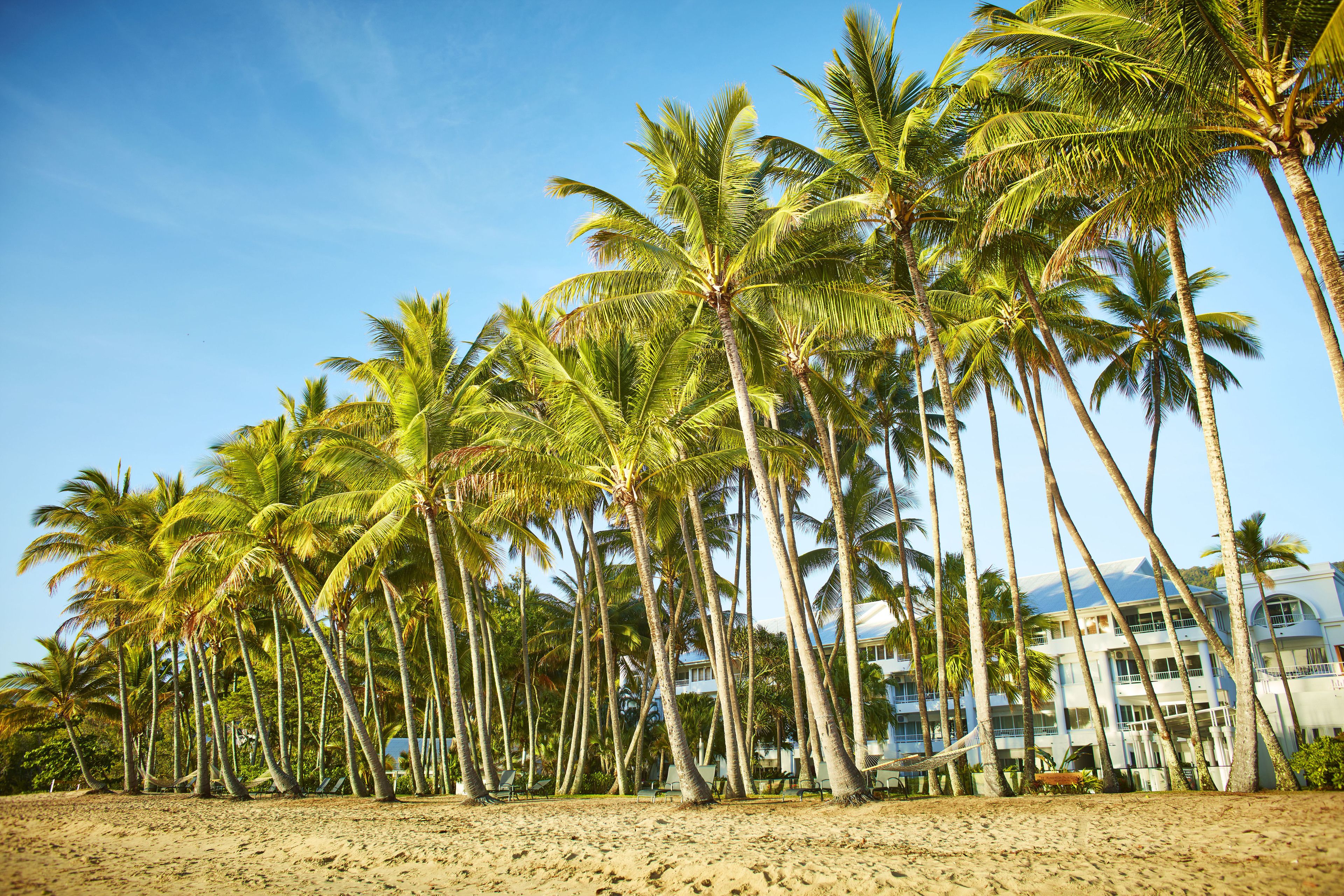 Alamanda Palm Cove by Lancemore