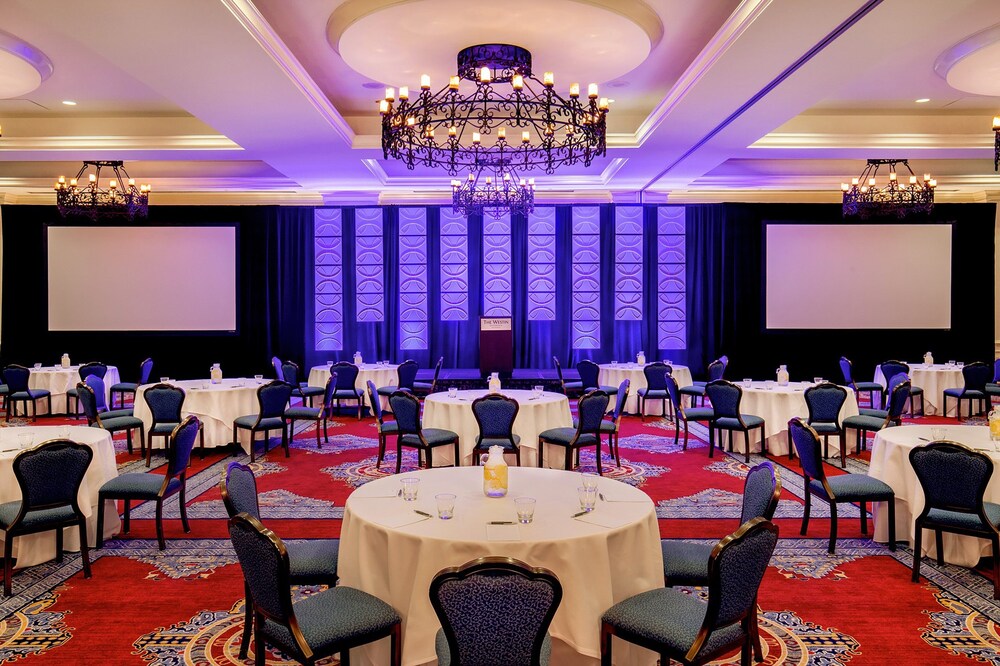 Meeting facility, The Westin Riverwalk, San Antonio