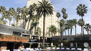 Outdoor pool, pool umbrellas, sun loungers