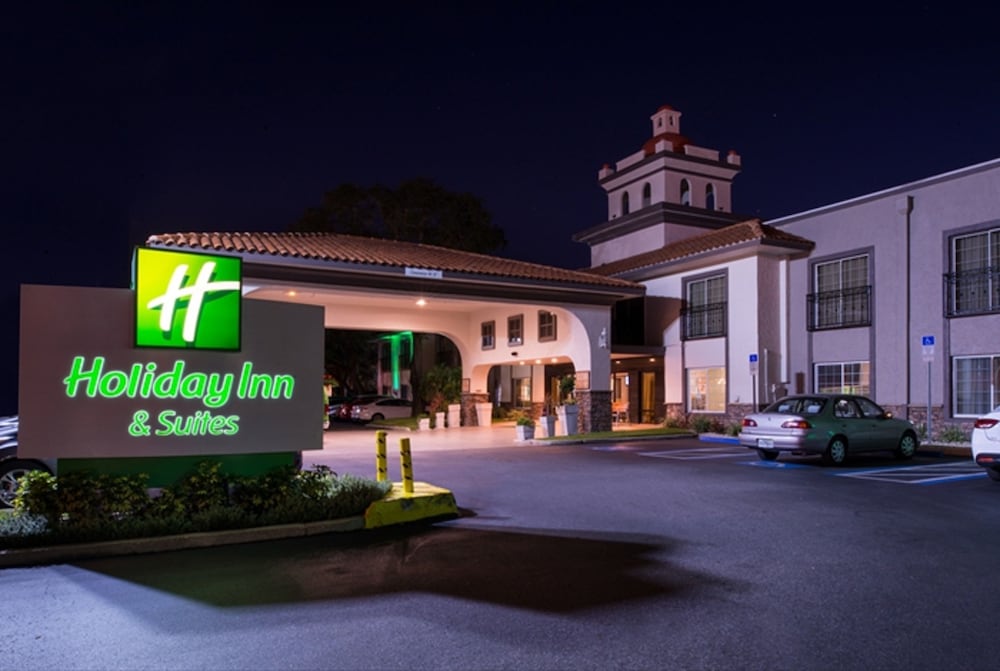 Holiday Inn Hotel Suites Tampa North Busch Gardens Area In