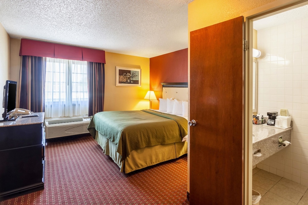 Room, Quality Inn & Suites