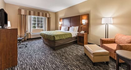 Quality Inn & Suites Hendersonville - Flat Rock
