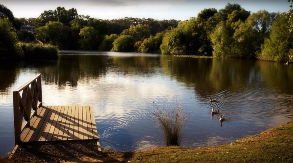 Fishing, Lake House Daylesford