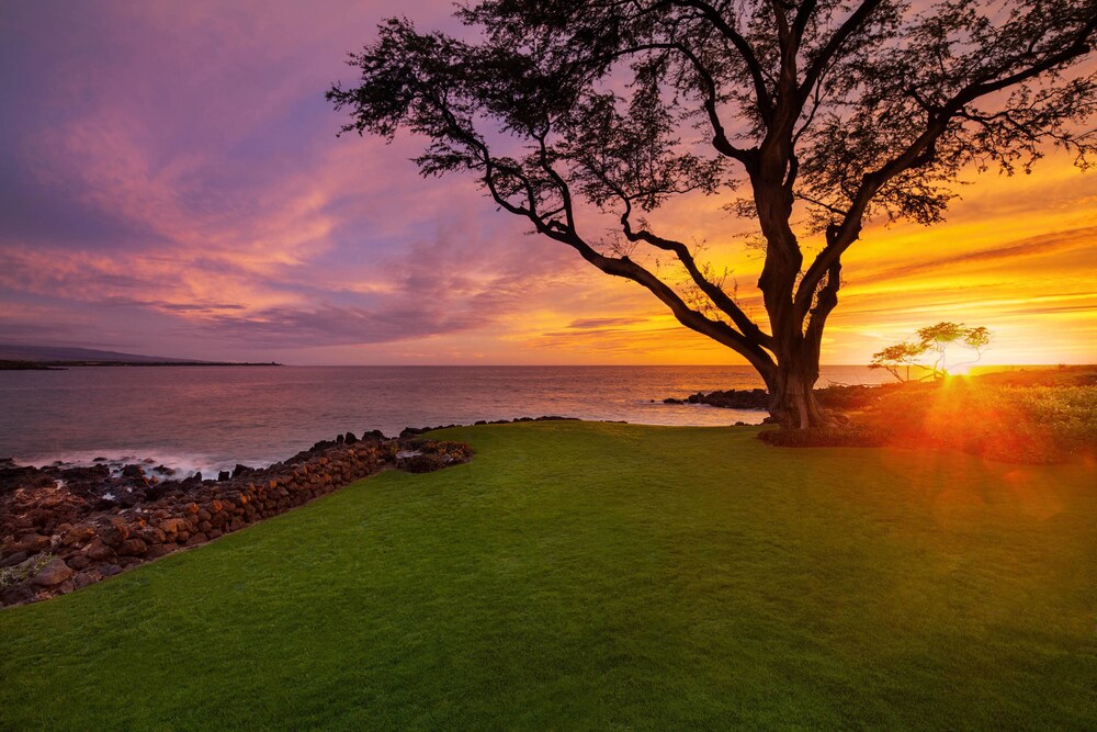 Property grounds, The Westin Hapuna Beach Resort