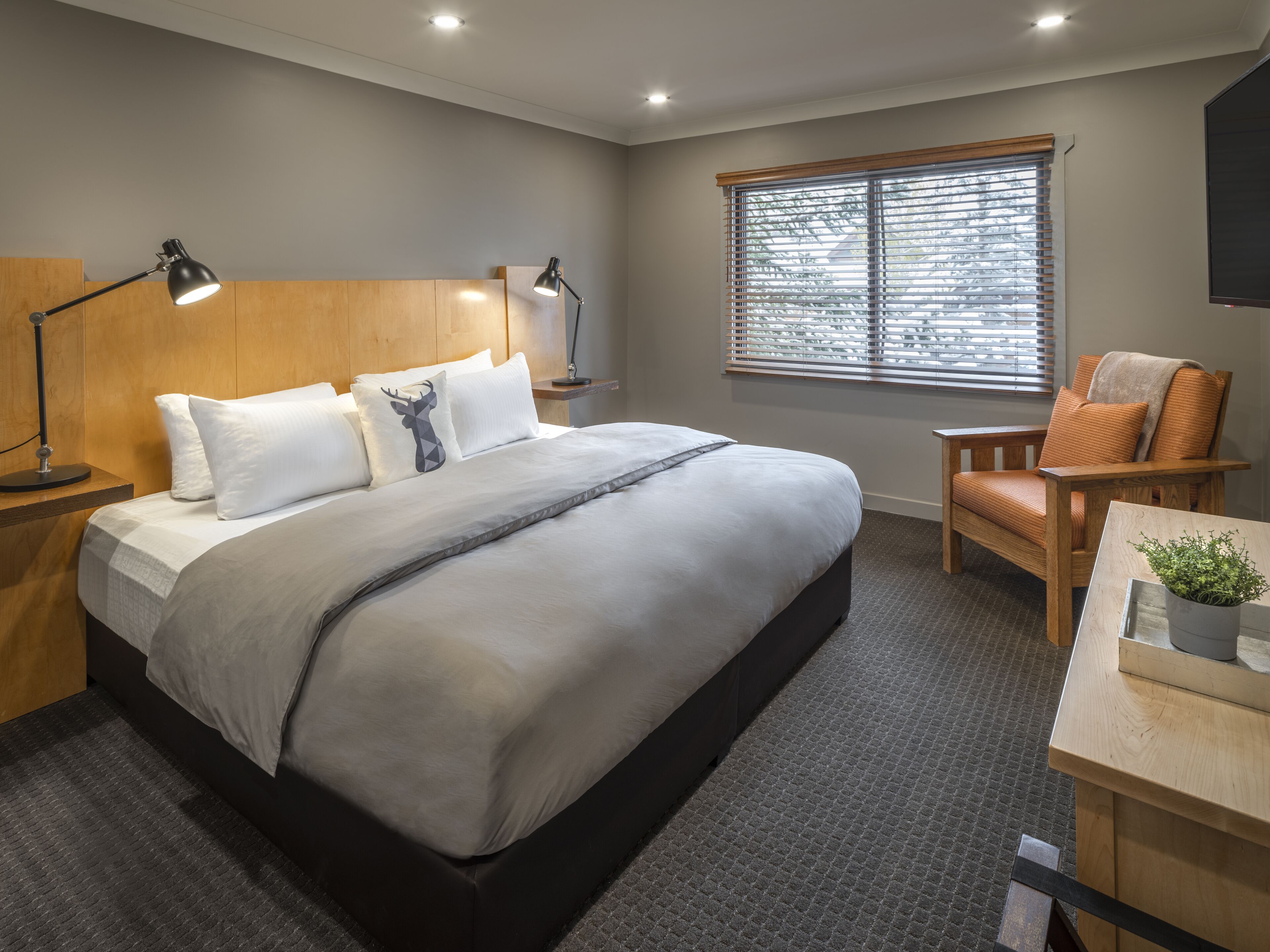 バッファロー マウンテン ロッジ 口コミ 宿泊料金 写真 23 エクスペディア