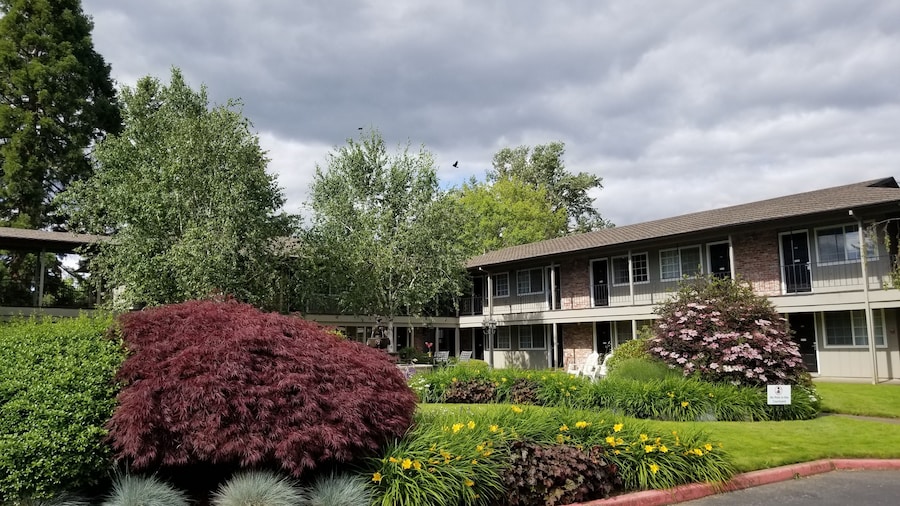 Village Inn Springfield