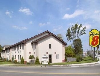 big apple canine friendly hotels