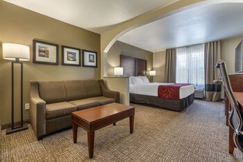 Comfort Suites Downtown Sacramento