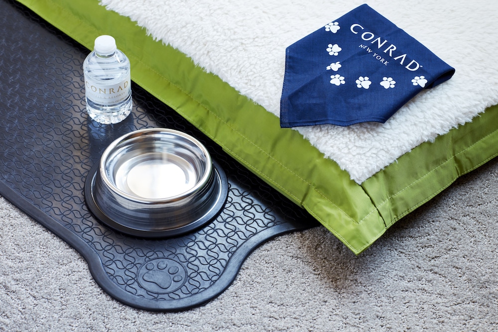 Pet-friendly, Conrad New York Downtown