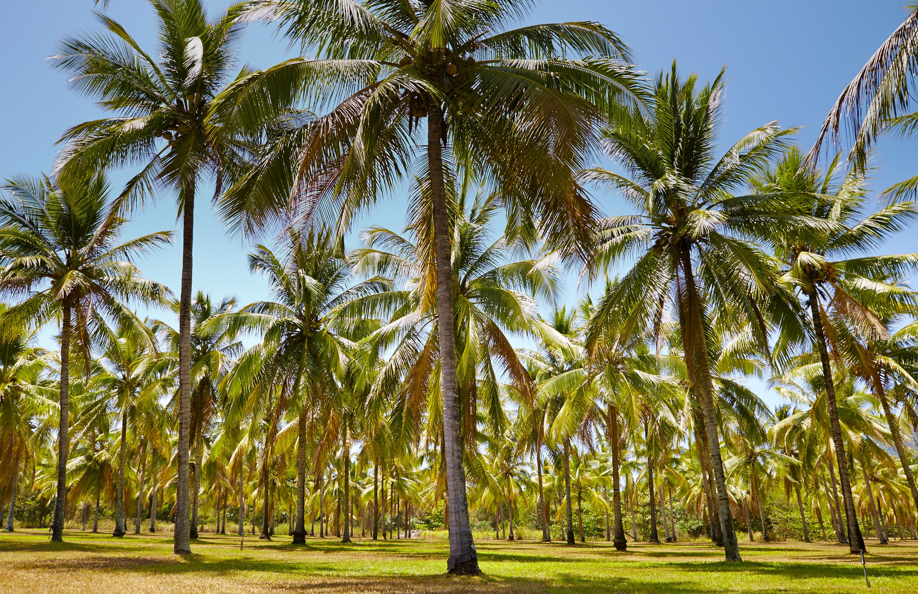 Thala Beach Nature Reserve