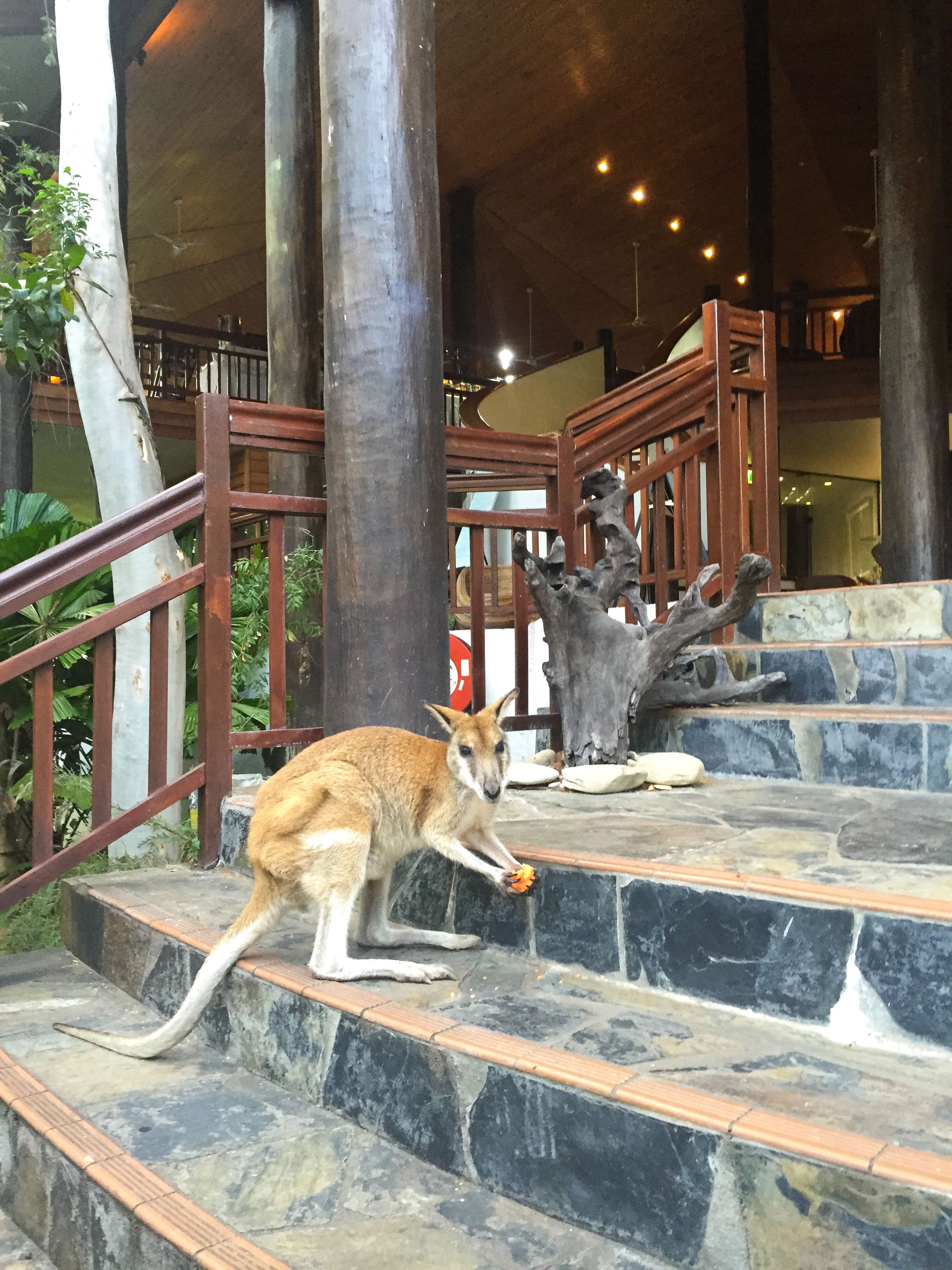 Thala Beach Nature Reserve