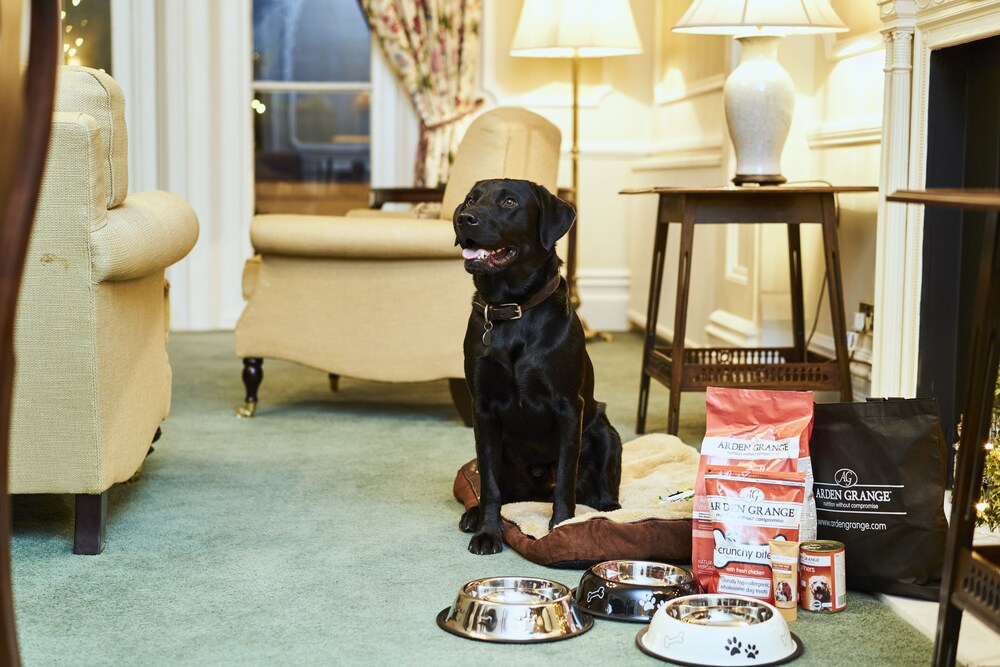 Pet-friendly, The Grand Hotel Eastbourne