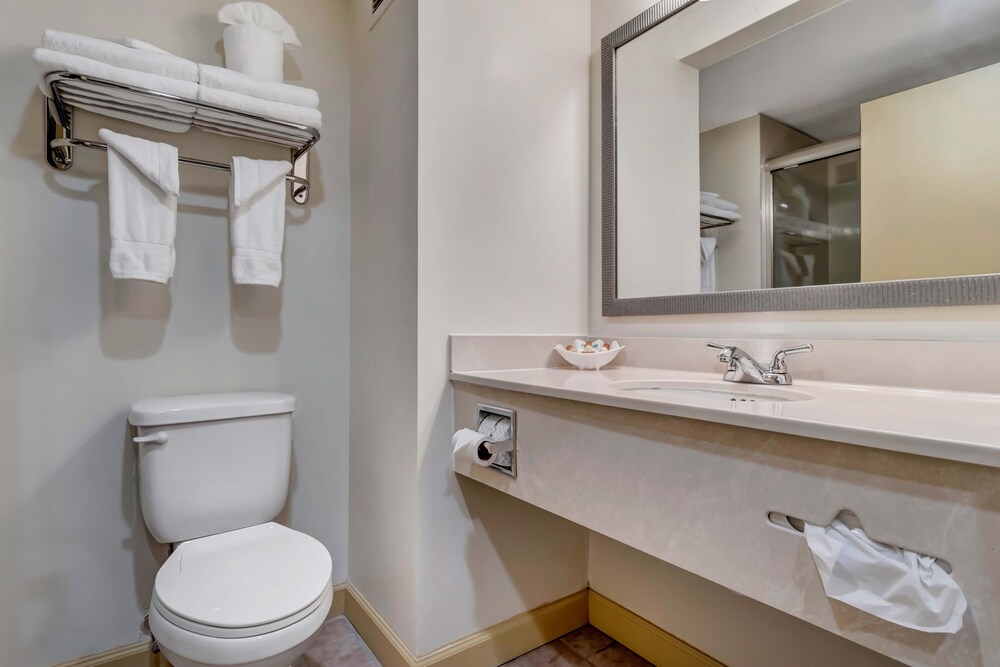 Bathroom, Hutchinson Island Plaza Hotel and Suites