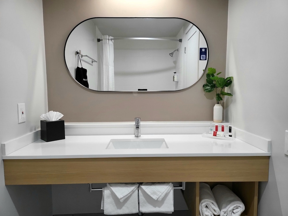 Bathroom, Ramada by Wyndham Los Angeles/Downtown West