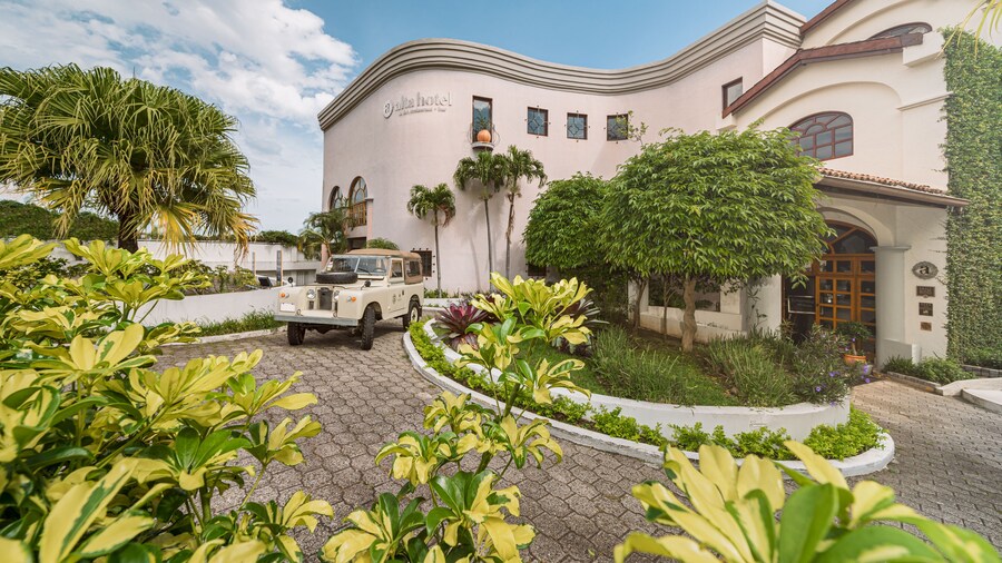 Hotel Alta Las Palomas