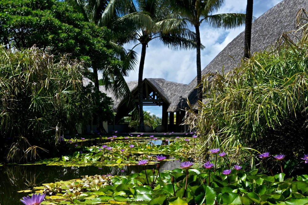 le meridien bora bora 2018 room prices 595 deals reviews expedia