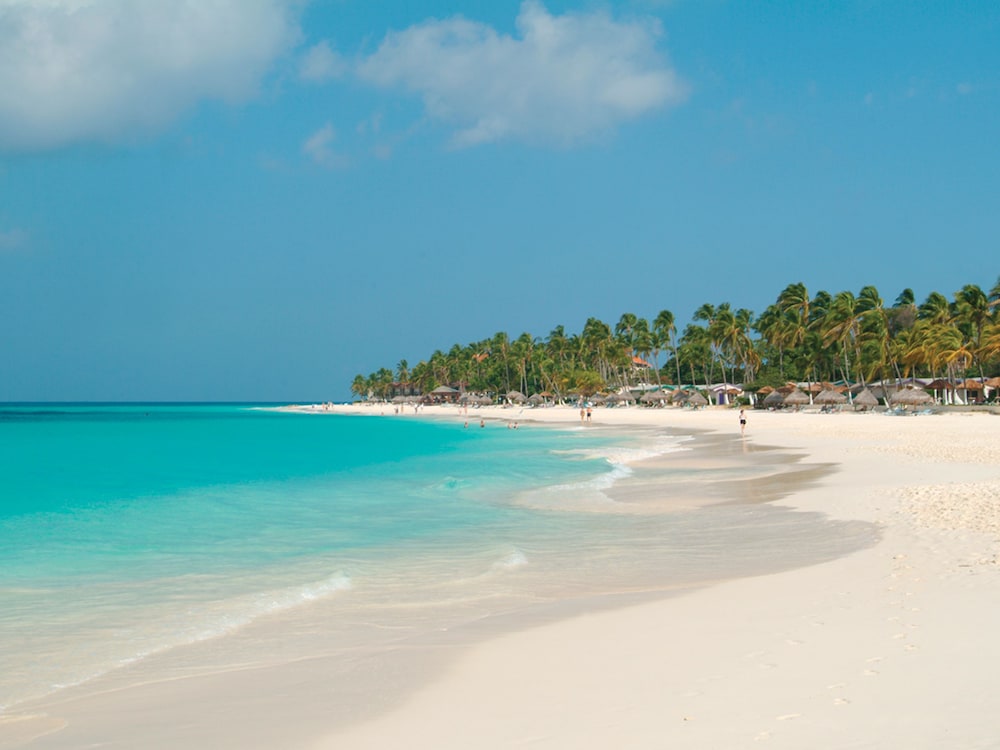 Divi Aruba All Inclusive In Oranjestad Hotel Rates