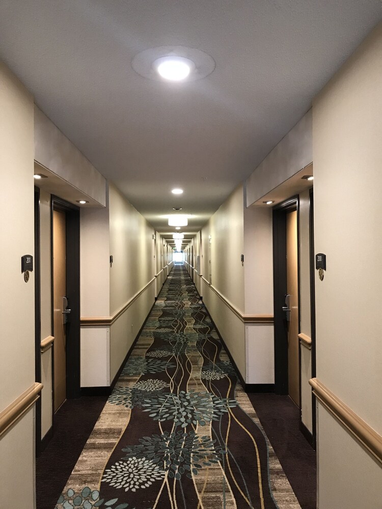 Hallway, Staybridge Suites Columbia, an IHG Hotel