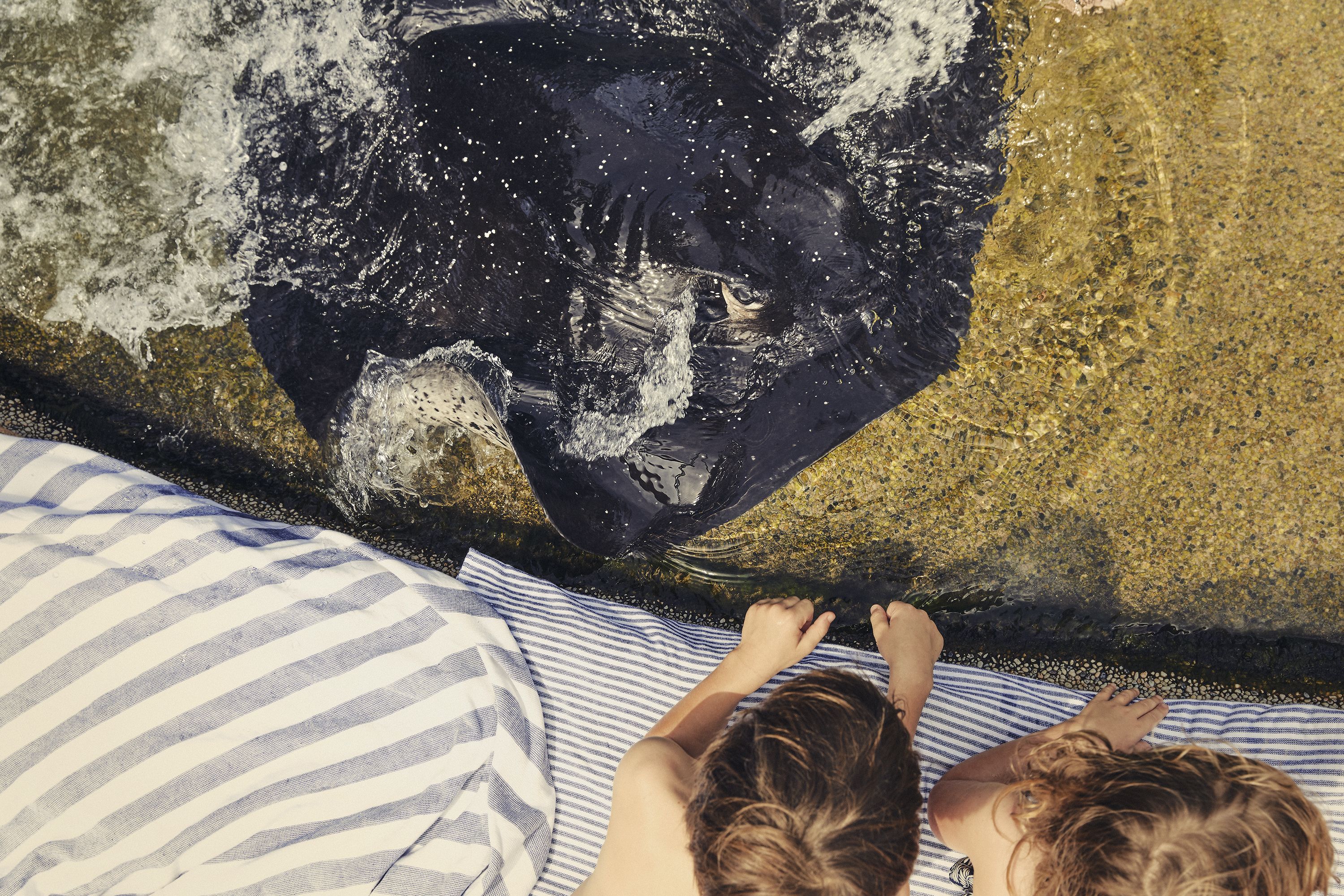 Daydream Island Resort