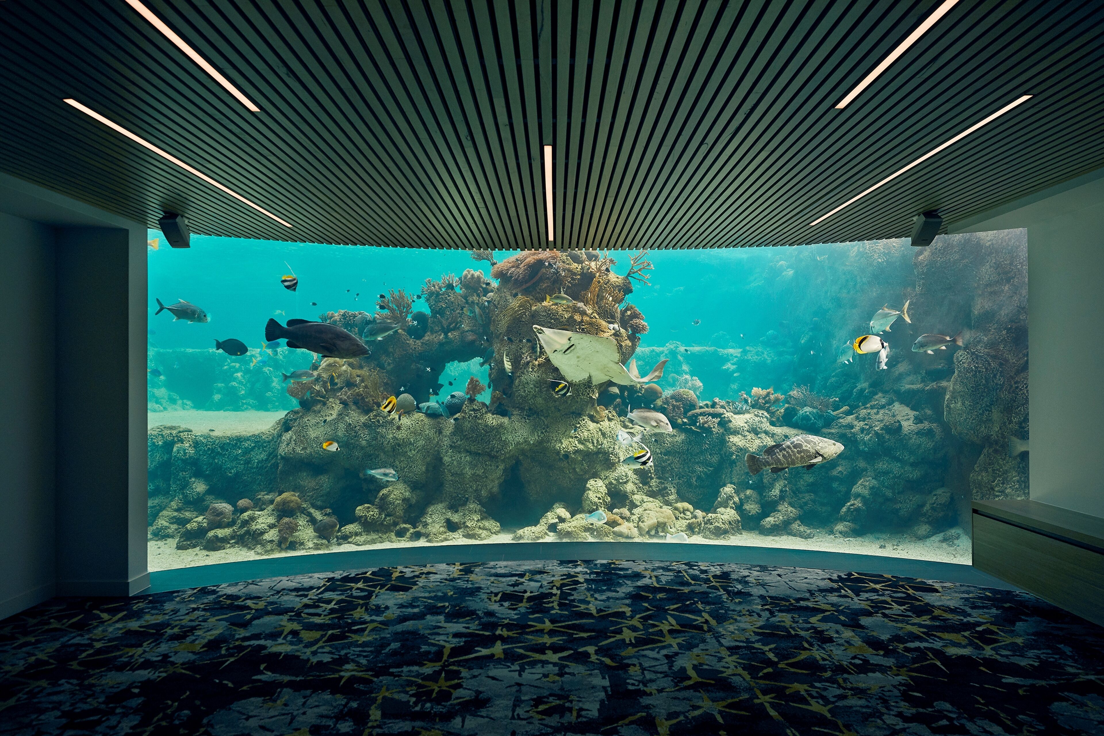 Daydream Island Resort