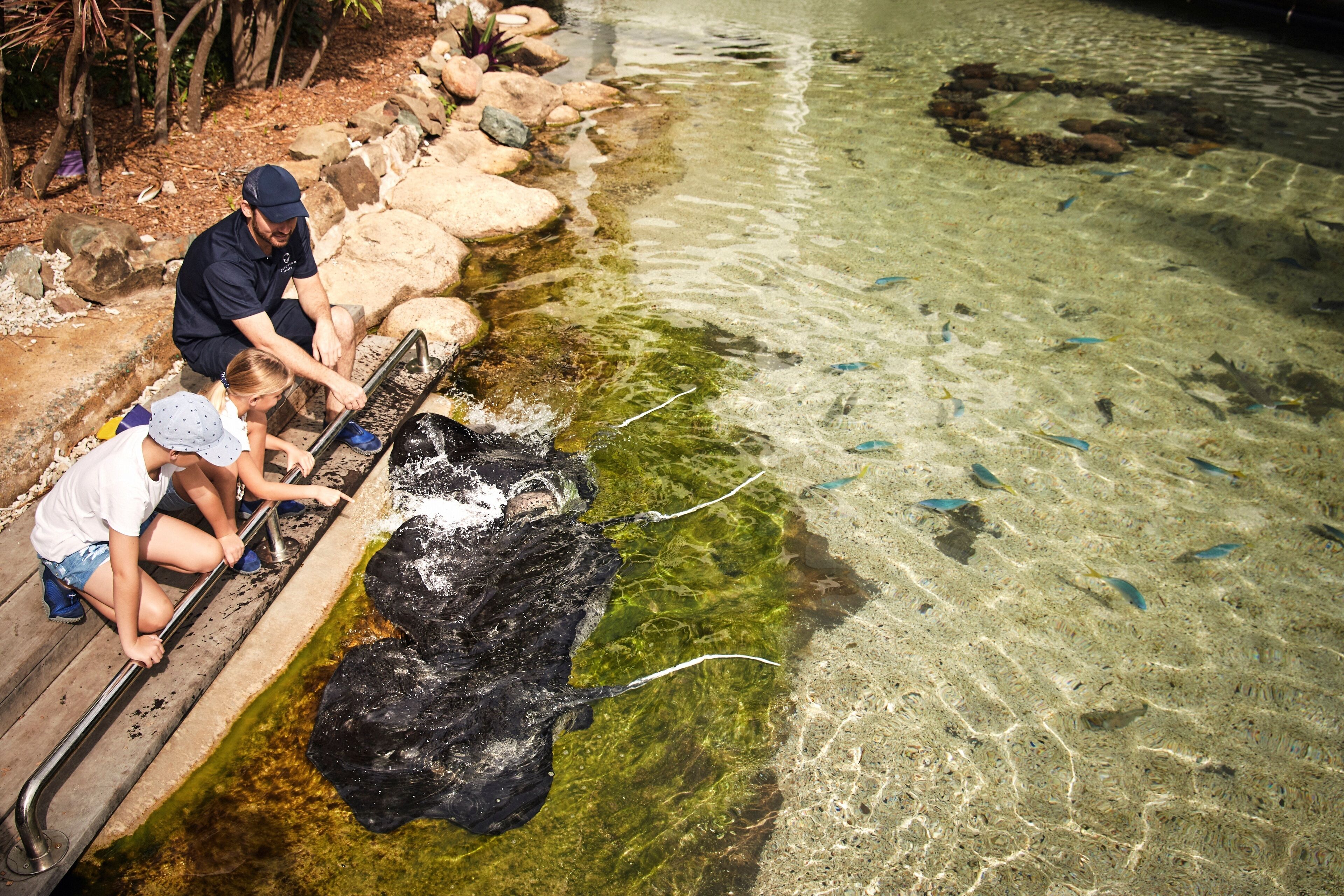 Daydream Island Resort