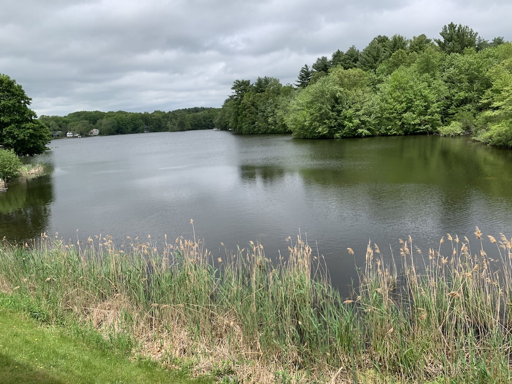 View from room, Super 8 by Wyndham Sturbridge